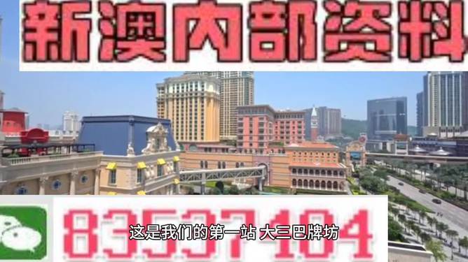 2024新澳门精准正版免费资料-精选解释解析落实